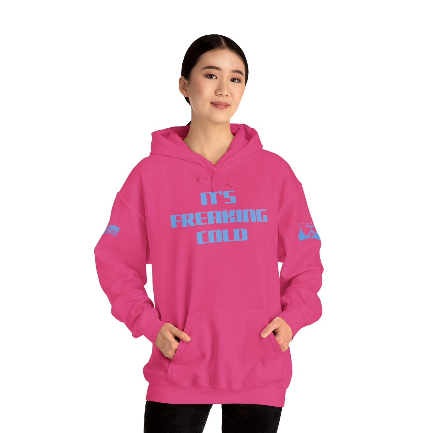 IT’S FREAKING COLD HOODIE - Light Blue arm logos