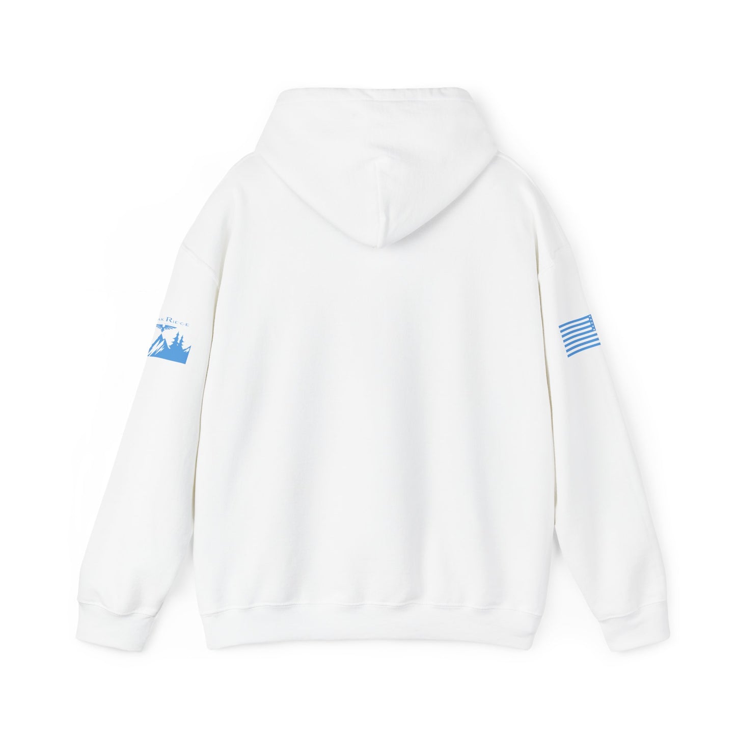 IT’S FREAKING COLD HOODIE - Light Blue arm logos