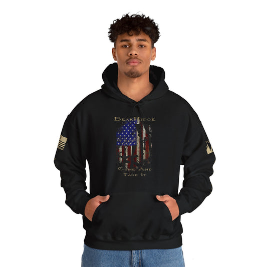 AMERICAN GUN FLAG HOODIE - Full Sleeves Gold Logos