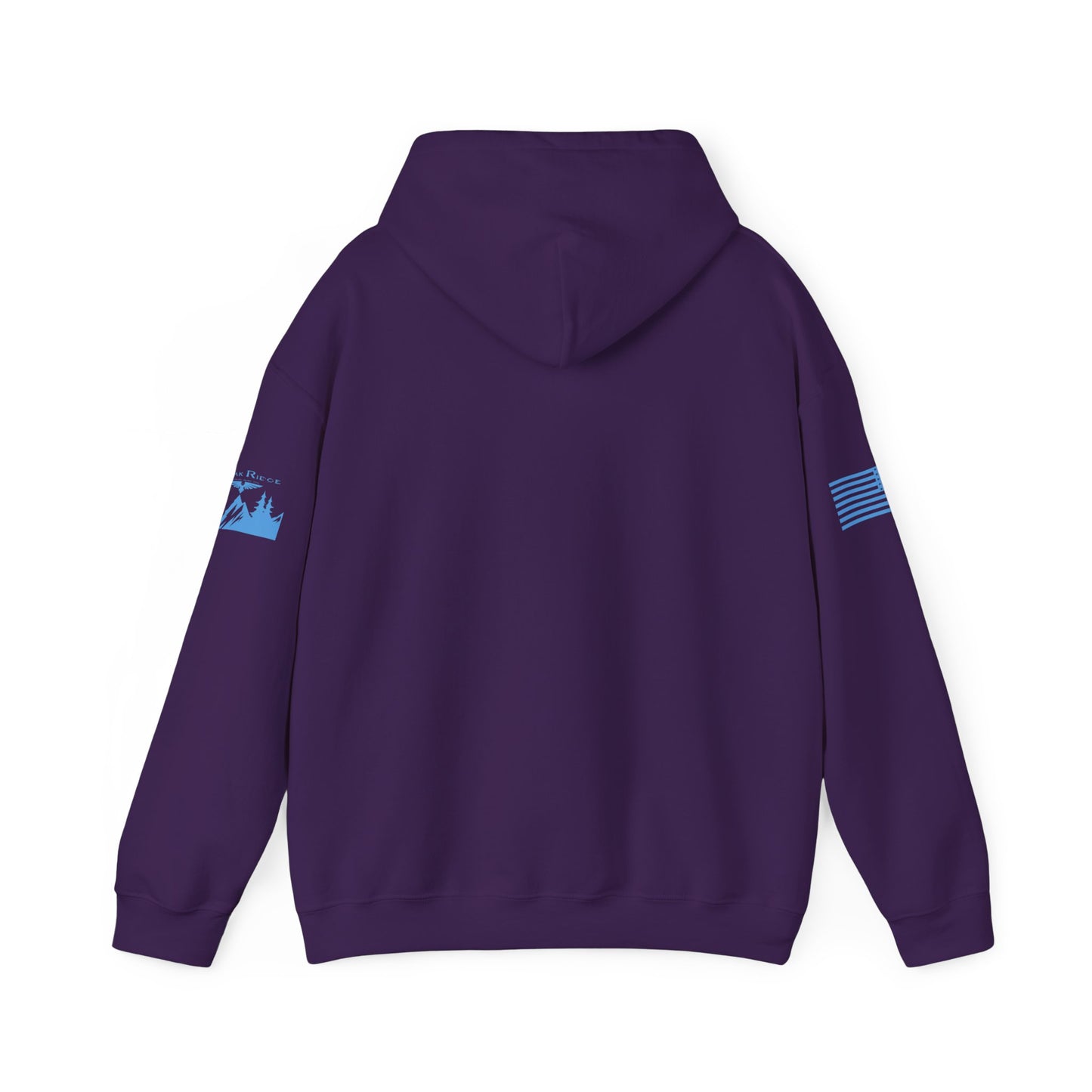 IT’S FREAKING COLD HOODIE - Light Blue arm logos