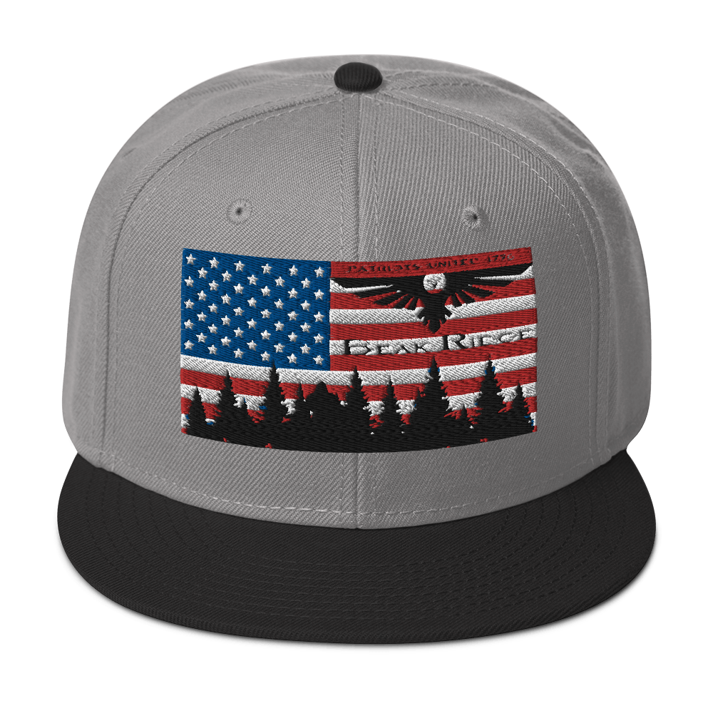 American Flag w/Scenery Snapback Hat