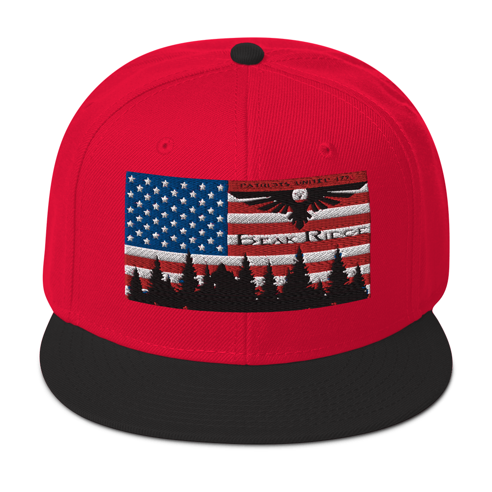 American Flag w/Scenery Snapback Hat