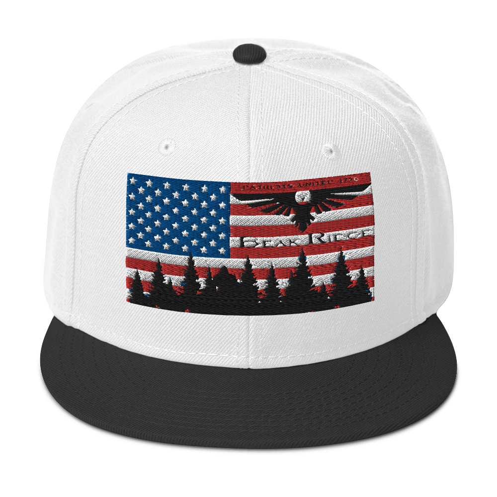 American Flag w/Scenery Snapback Hat