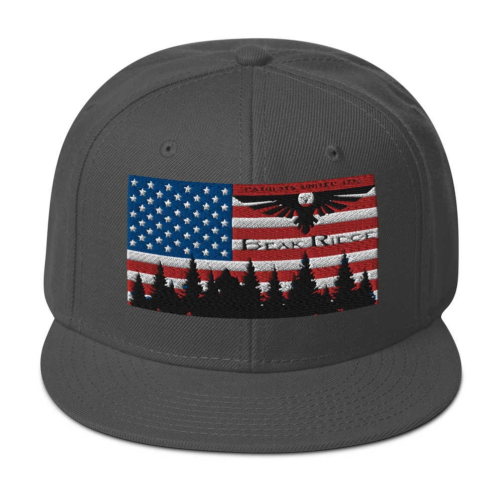 American Flag w/Scenery Snapback Hat